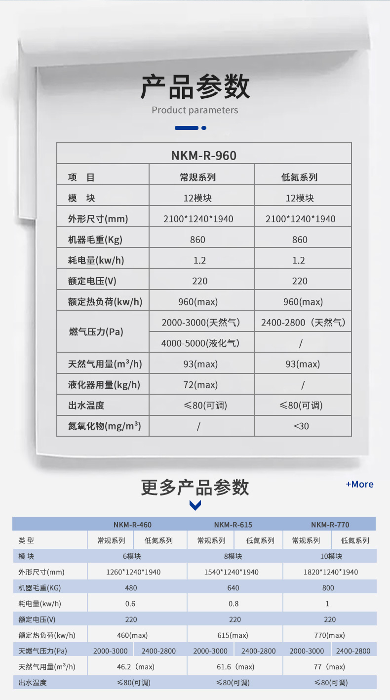 定制款-容积式智能变频热水炉(规格齐全)