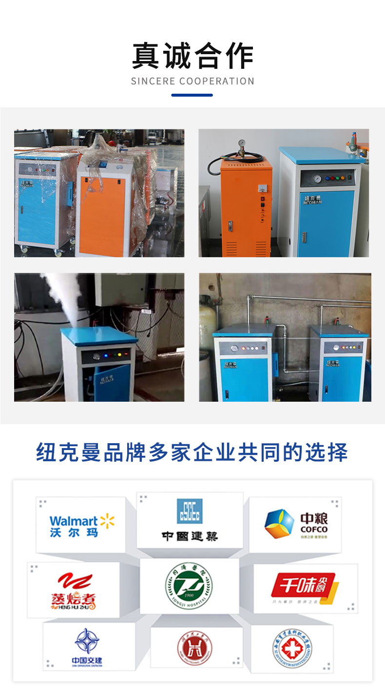 小型电加热蒸汽发生器