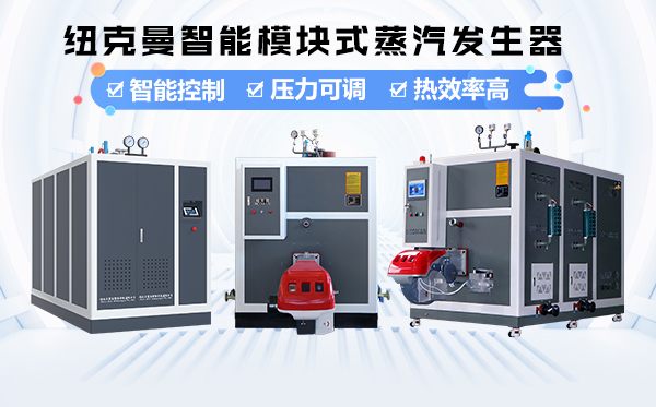 蒸汽发生器中水循环会出现怎样的故障?