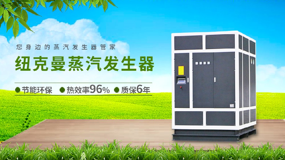 2025 电蒸汽发生器十大名牌，高效节能之选