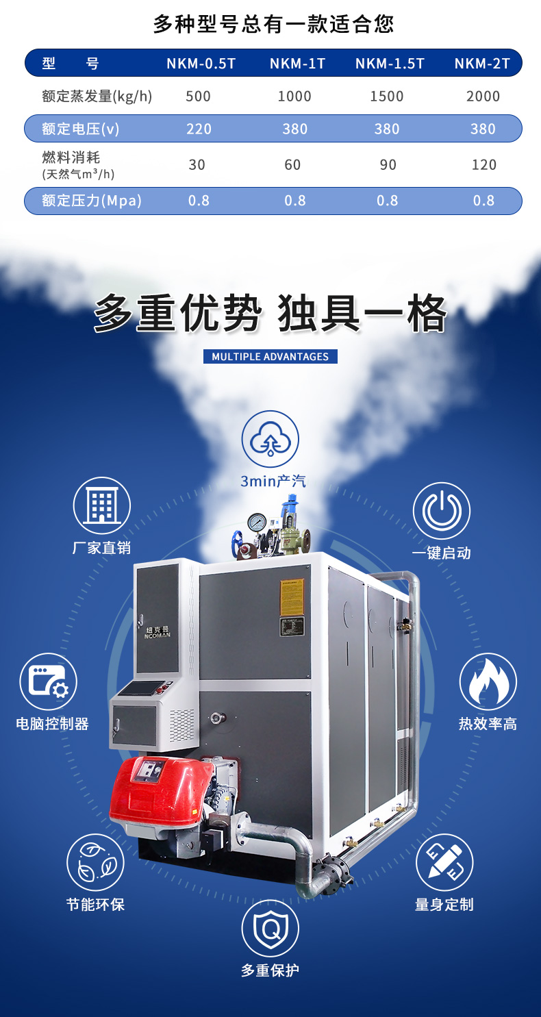 1.5T超低氮蒸汽发生器